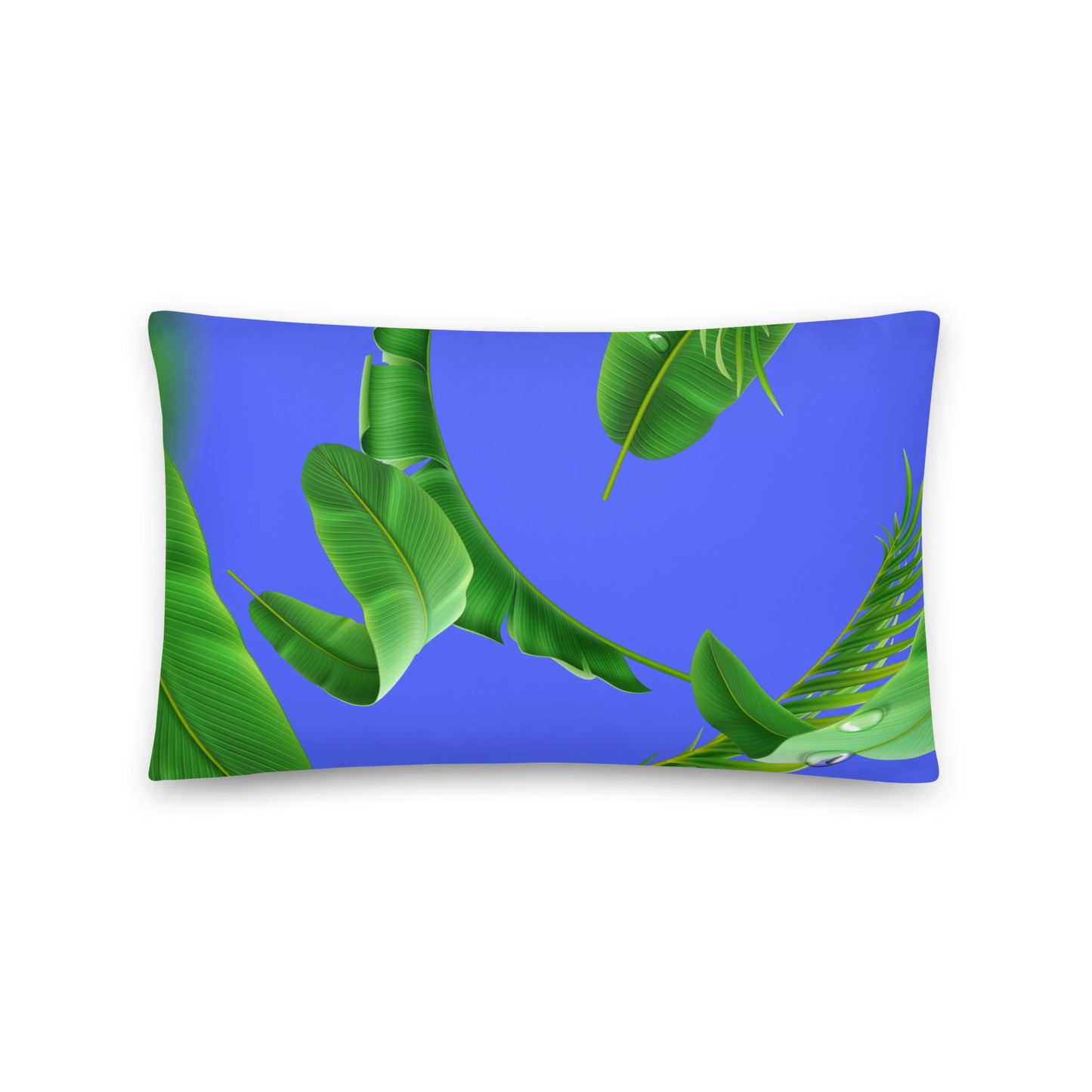 WHIRLWIND Decorative Pillow